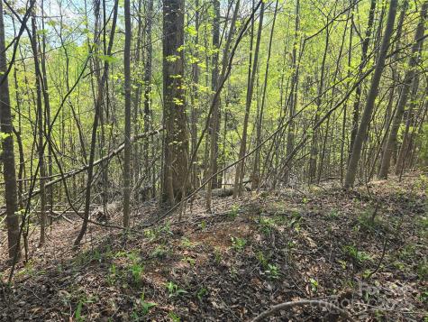 Lot 15 Touch Me Not Trail Lake Lure NC 28746