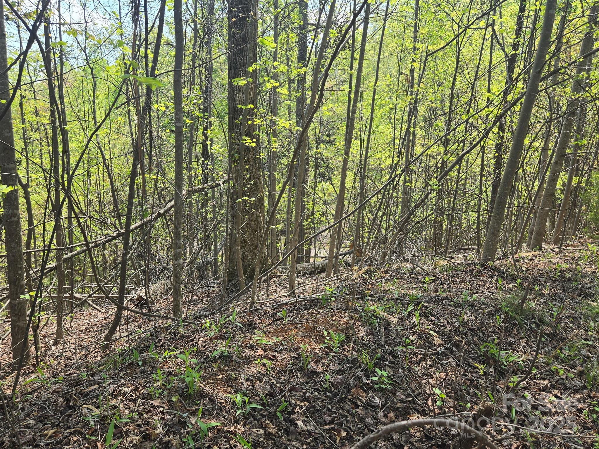 Lot 15 Touch Me Not Trail Lake Lure NC 28746