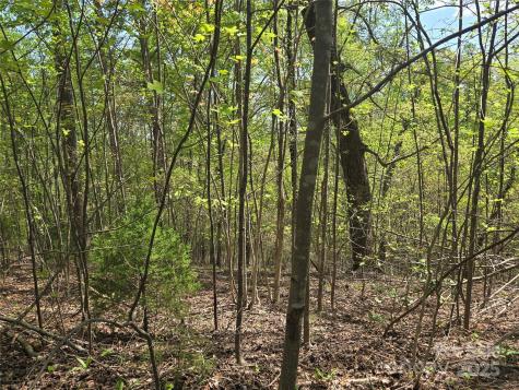 Lot 15 Touch Me Not Trail Lake Lure NC 28746