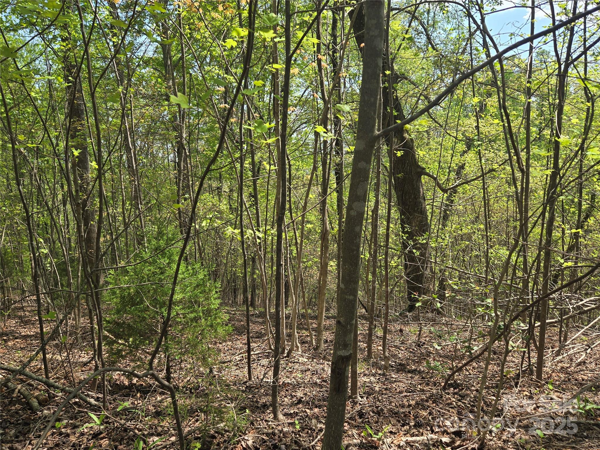 Lot 15 Touch Me Not Trail Lake Lure NC 28746