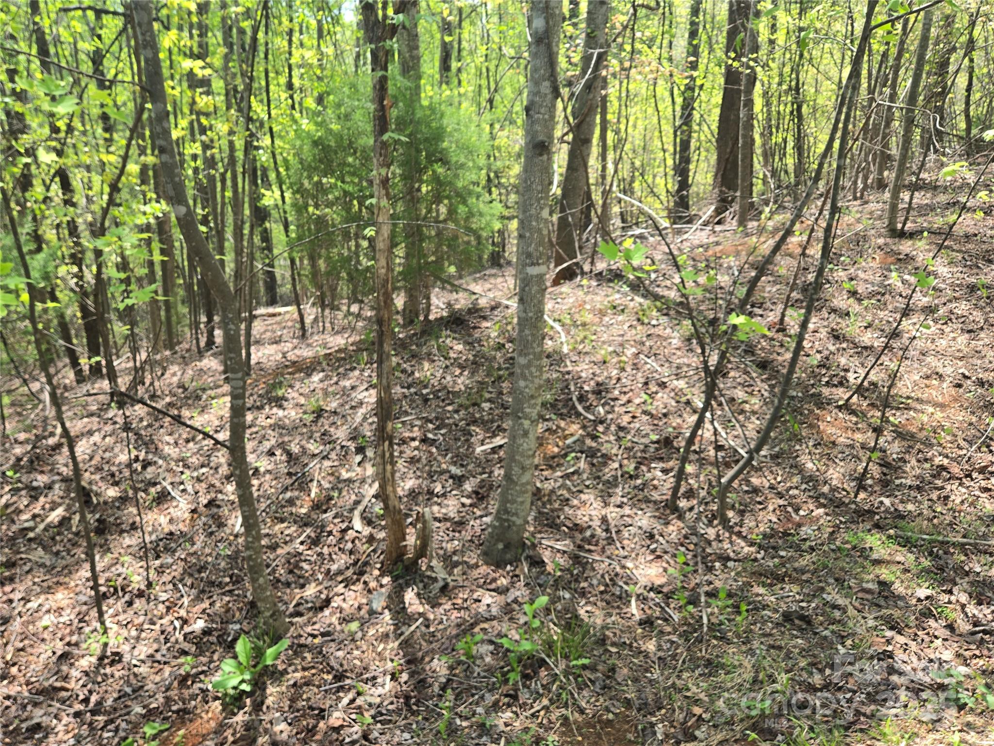 Lot 15 Touch Me Not Trail Lake Lure NC 28746