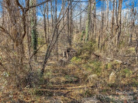 283 Ozone Drive Saluda NC 28773