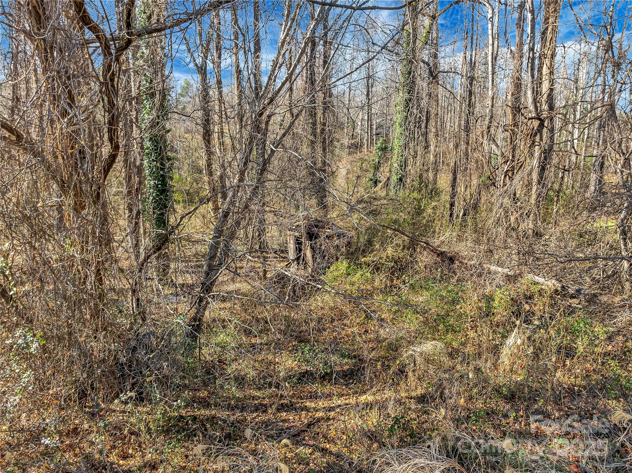 283 Ozone Drive Saluda NC 28773