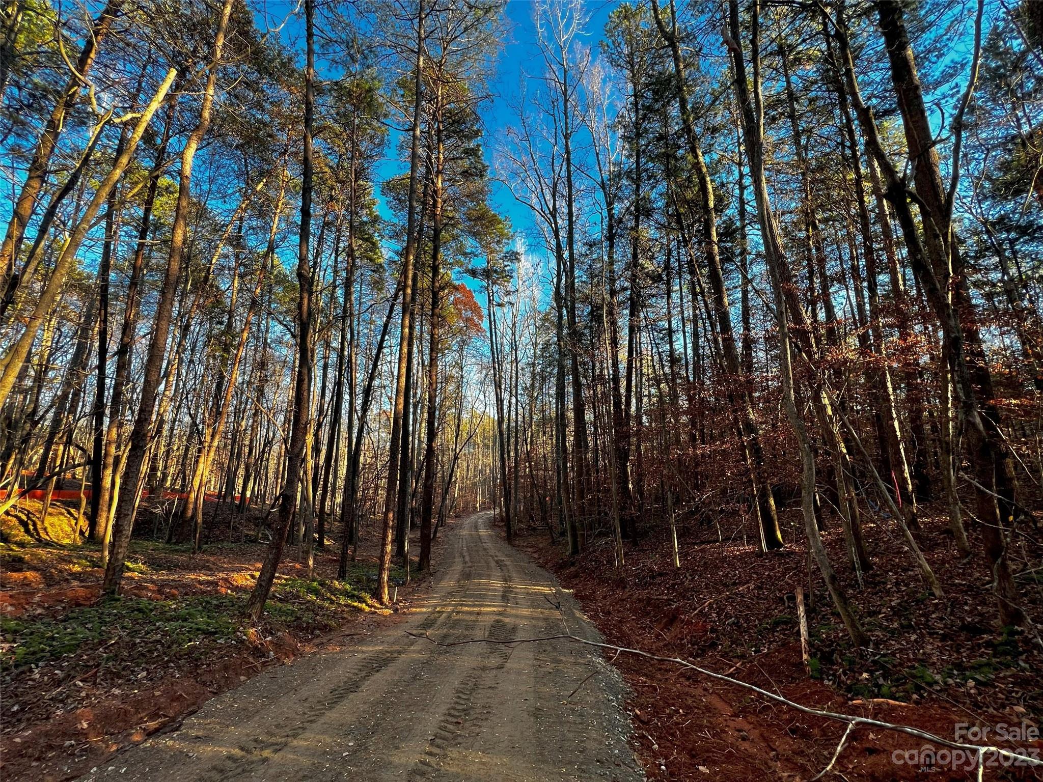 126 Hunt Camp Trail Davidson NC 28036