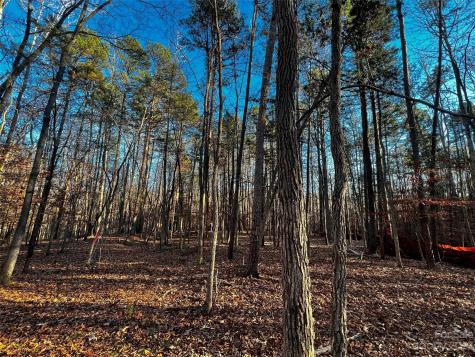 126 Hunt Camp Trail Davidson NC 28036