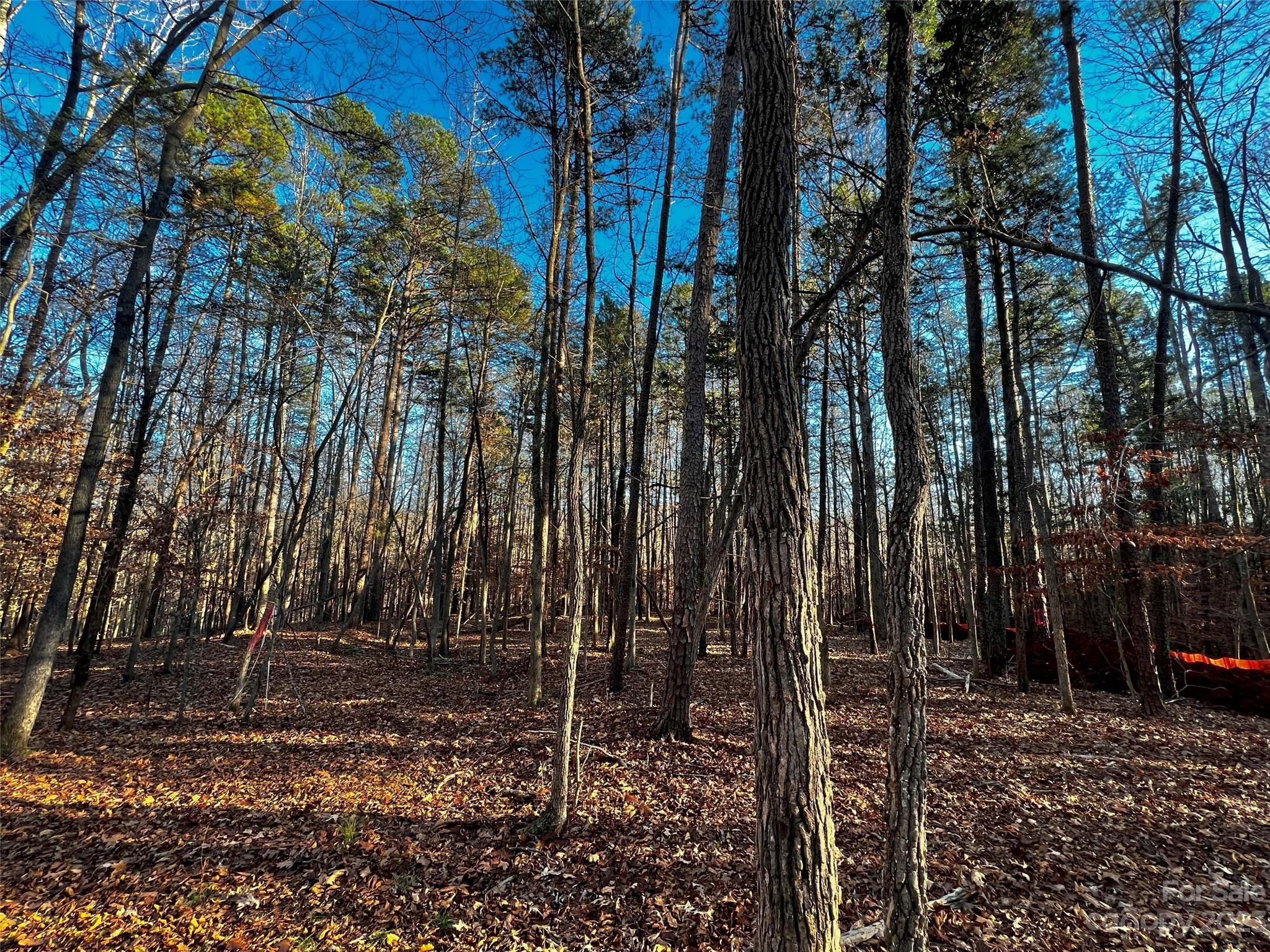 126 Hunt Camp Trail Davidson NC 28036