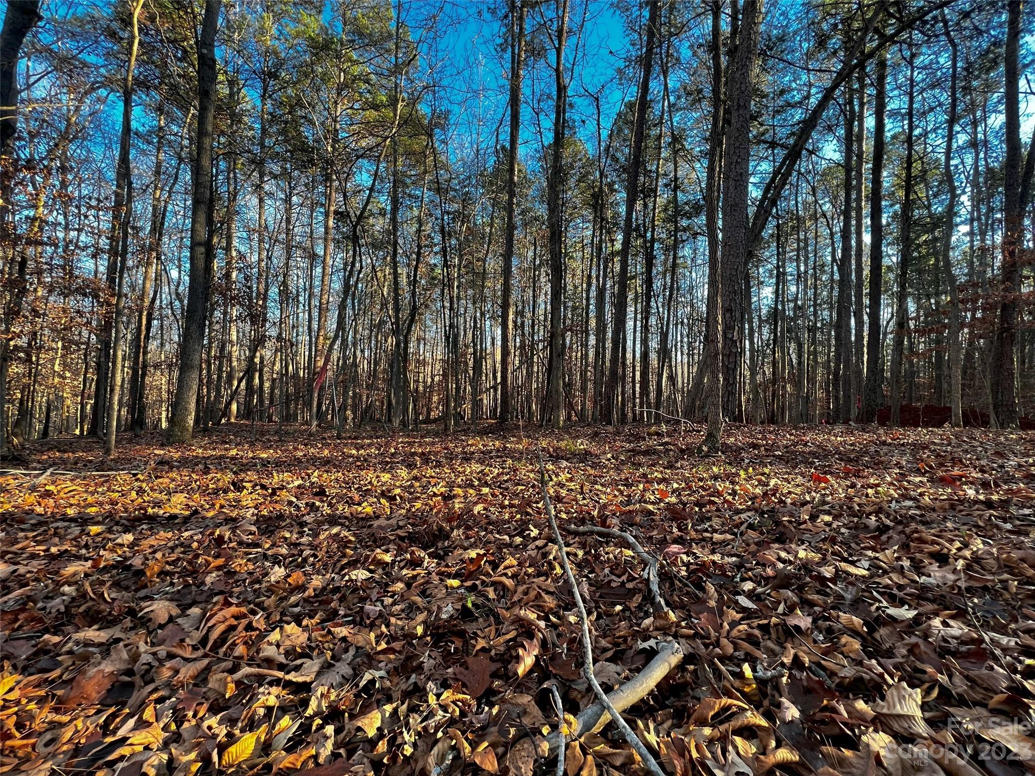126 Hunt Camp Trail Davidson NC 28036