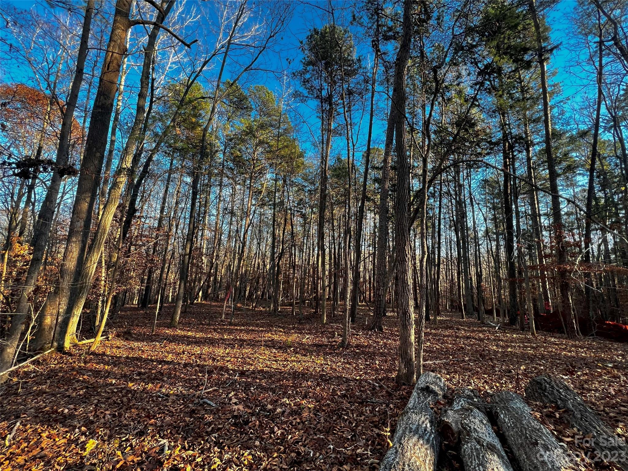 126 Hunt Camp Trail Davidson NC 28036