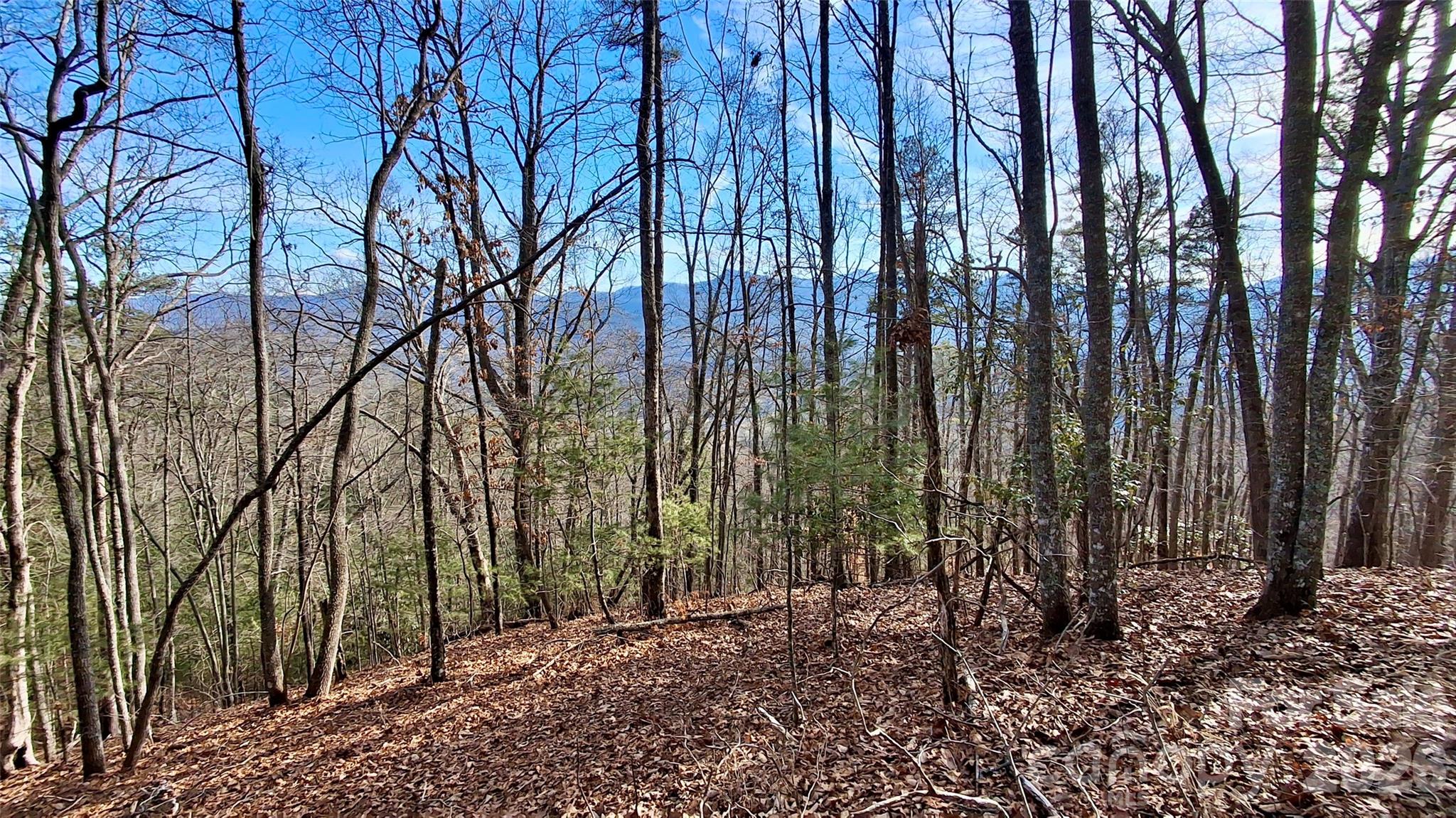 0 Briarwood Road Webster NC 28788