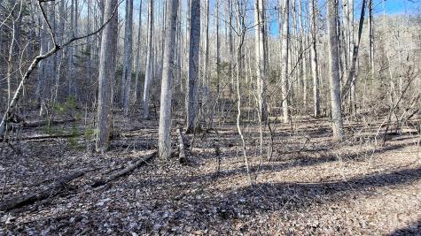 0 Briarwood Road Webster NC 28788
