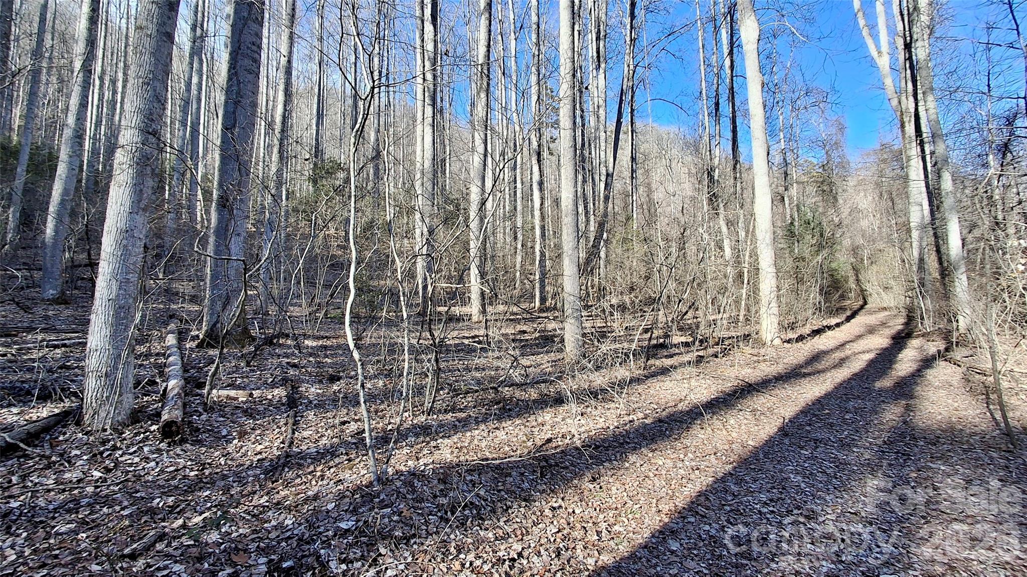 0 Briarwood Road Webster NC 28788