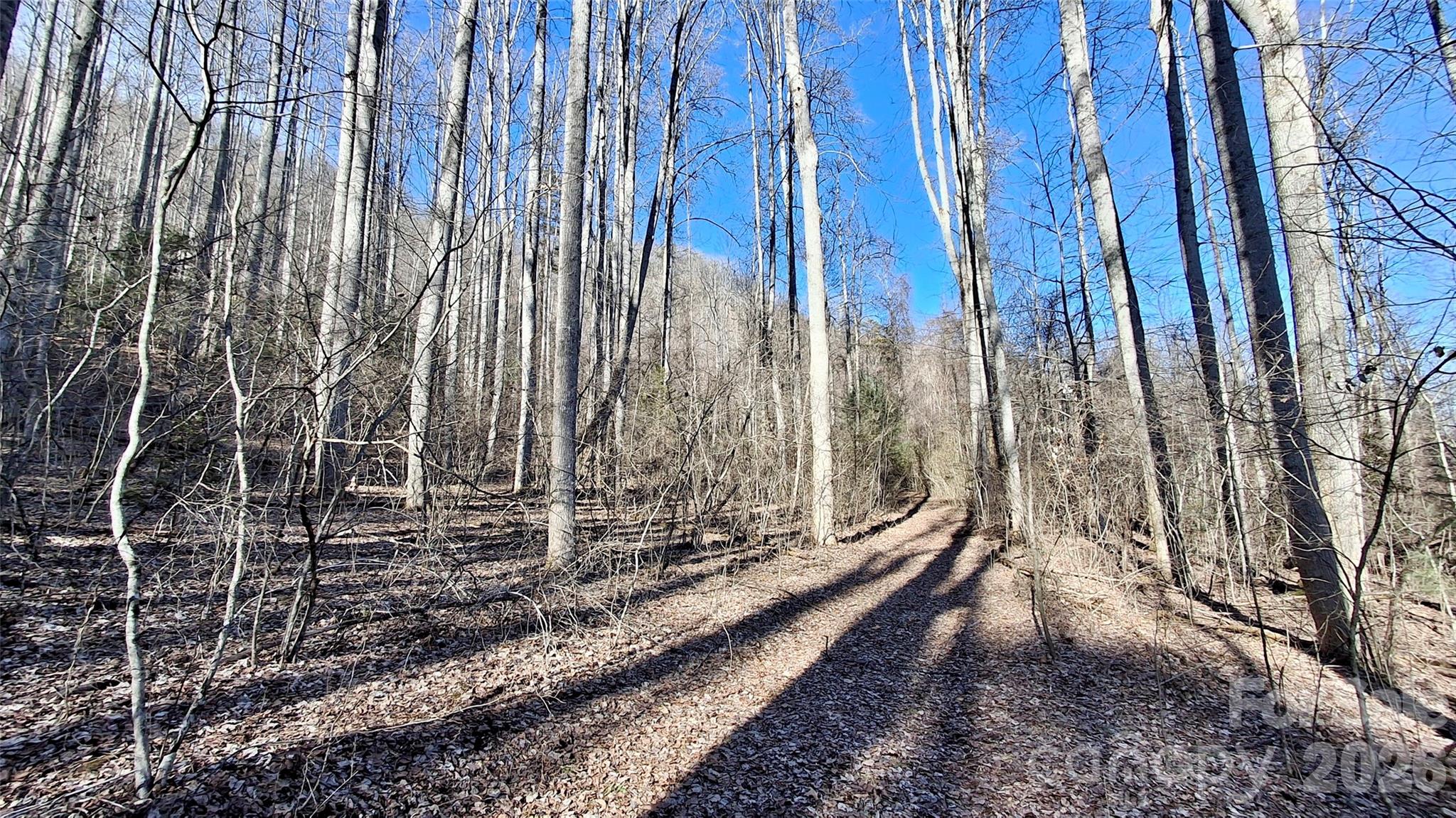 0 Briarwood Road Webster NC 28788