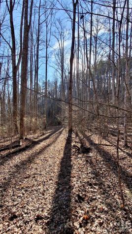 0 Briarwood Road Webster NC 28788
