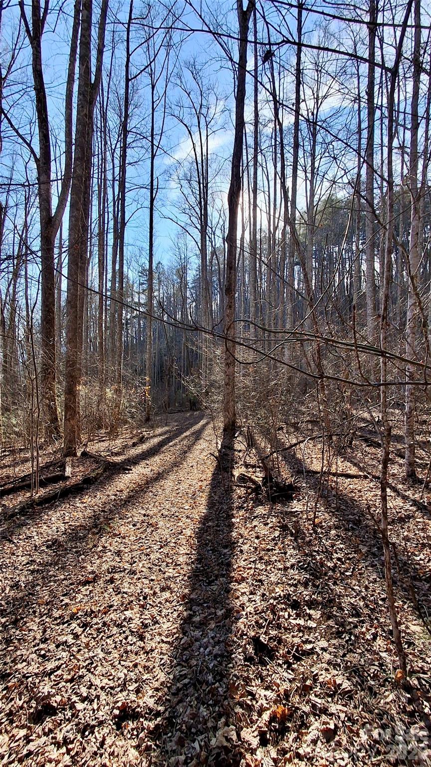 0 Briarwood Road Webster NC 28788