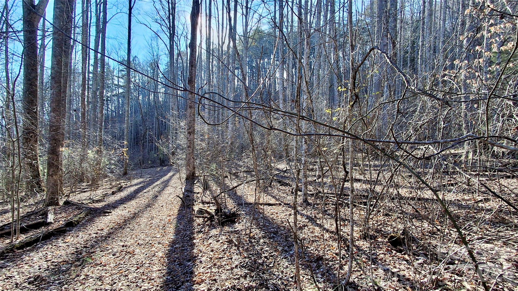 0 Briarwood Road Webster NC 28788