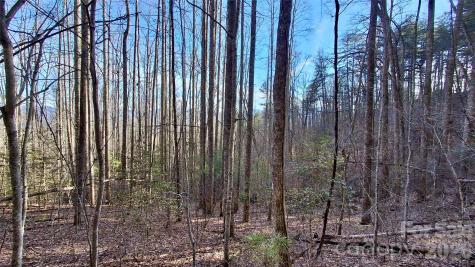 0 Briarwood Road Webster NC 28788