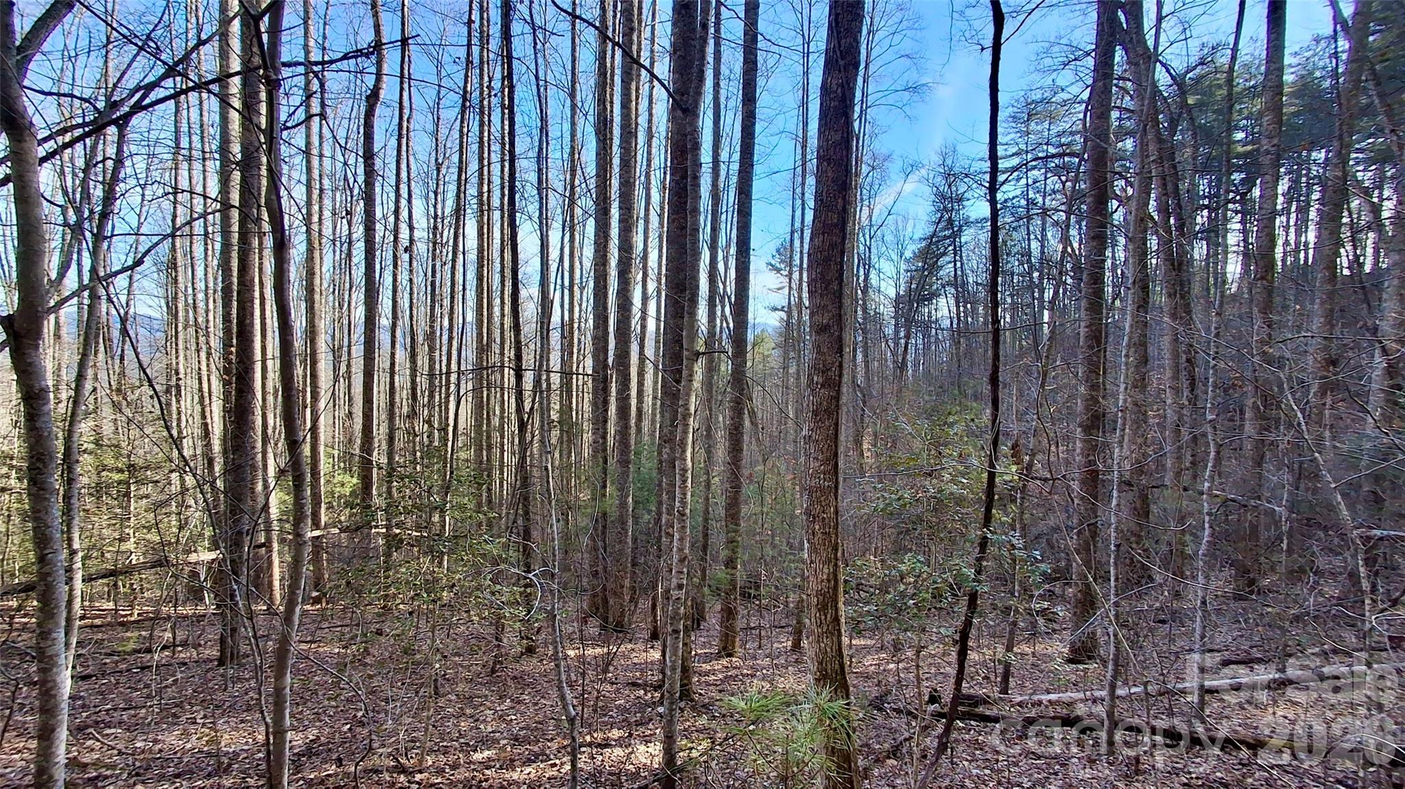 0 Briarwood Road Webster NC 28788
