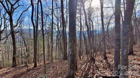 0 Briarwood Road Webster NC 28788
