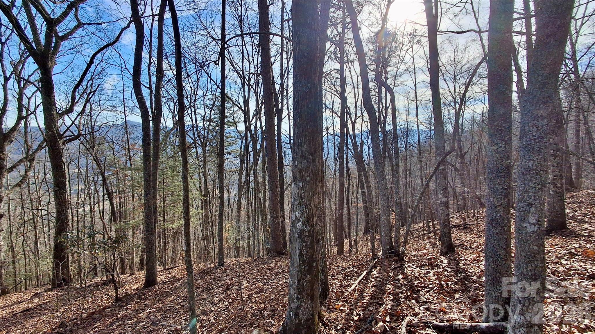 0 Briarwood Road Webster NC 28788