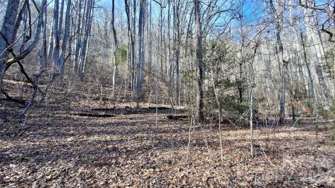 0 Briarwood Road Webster NC 28788