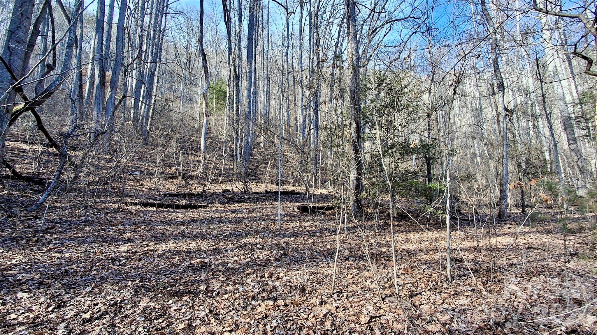 0 Briarwood Road Webster NC 28788