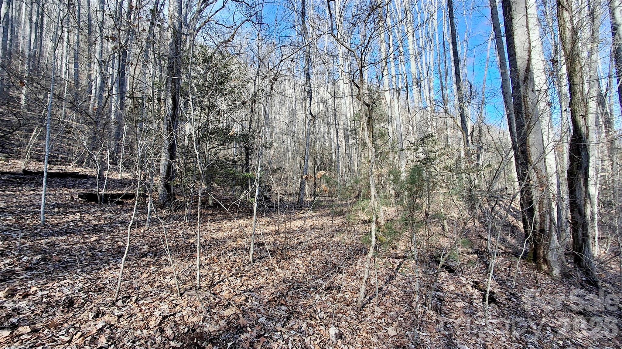 0 Briarwood Road Webster NC 28788