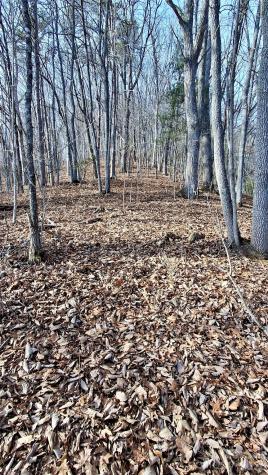 0 Briarwood Road Webster NC 28788