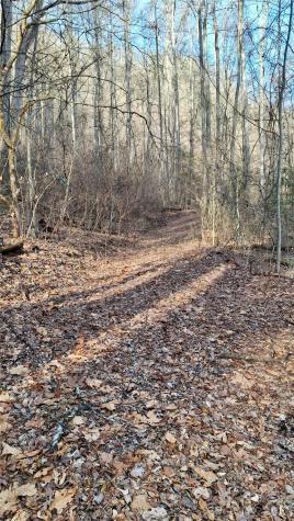 0 Briarwood Road Webster NC 28788