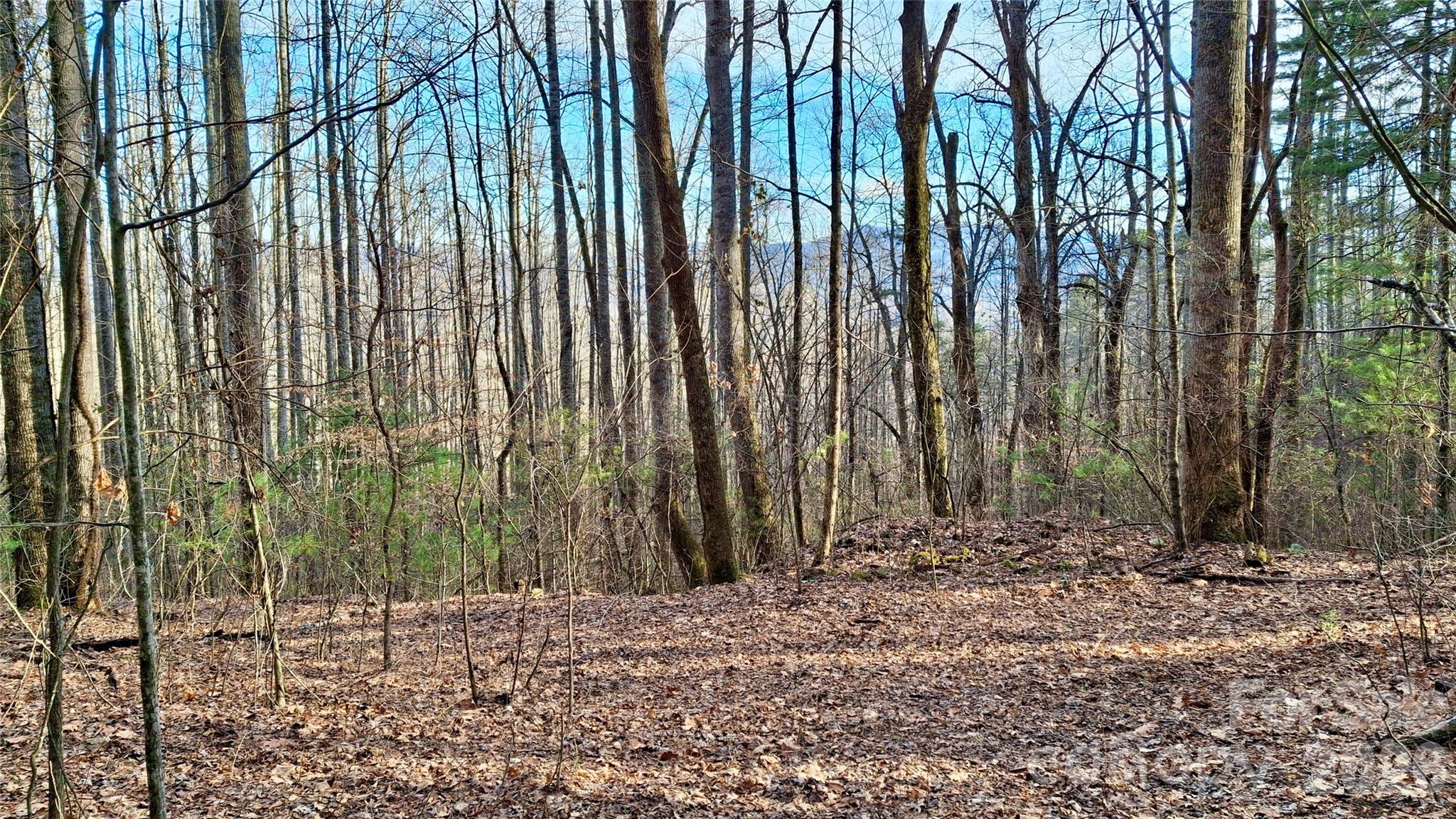 0 Briarwood Road Webster NC 28788