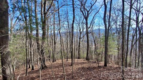 0 Briarwood Road Webster NC 28788