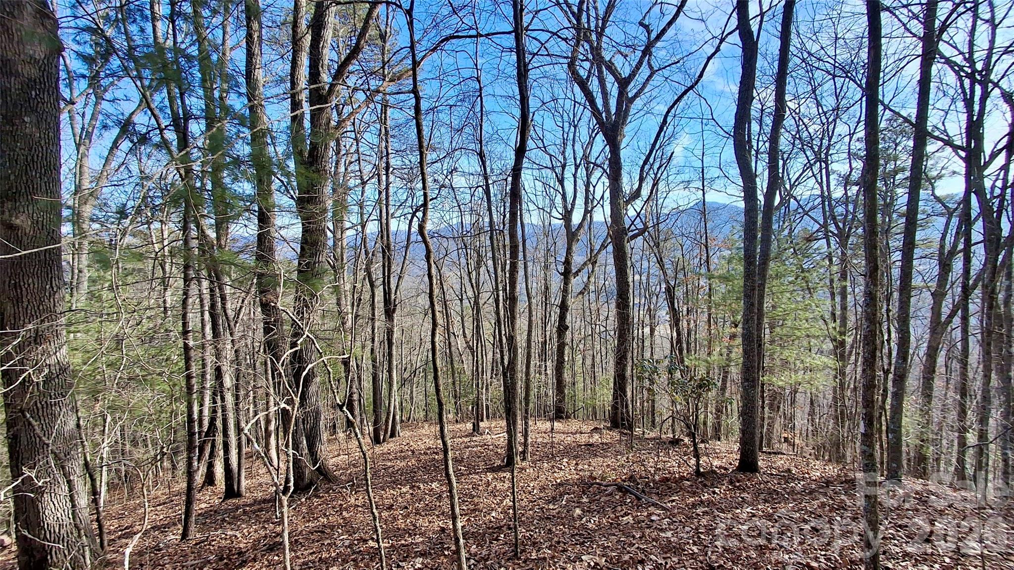 0 Briarwood Road Webster NC 28788