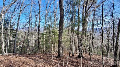 0 Briarwood Road Webster NC 28788
