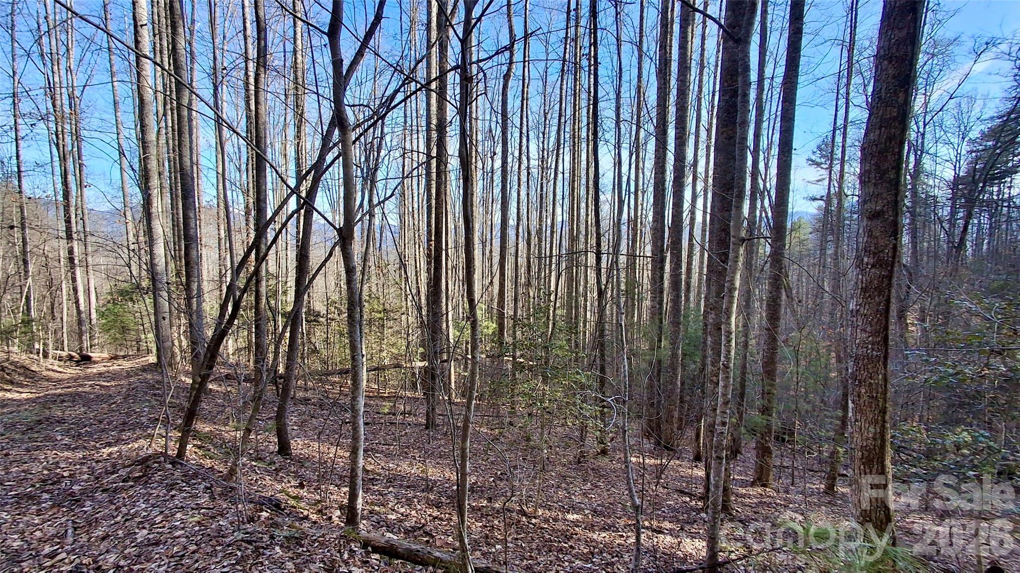 0 Briarwood Road Webster NC 28788