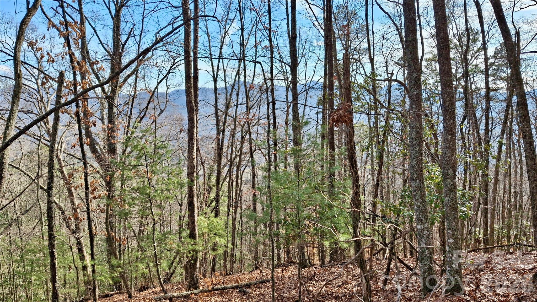 0 Briarwood Road Webster NC 28788