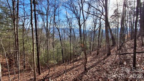 0 Briarwood Road Webster NC 28788