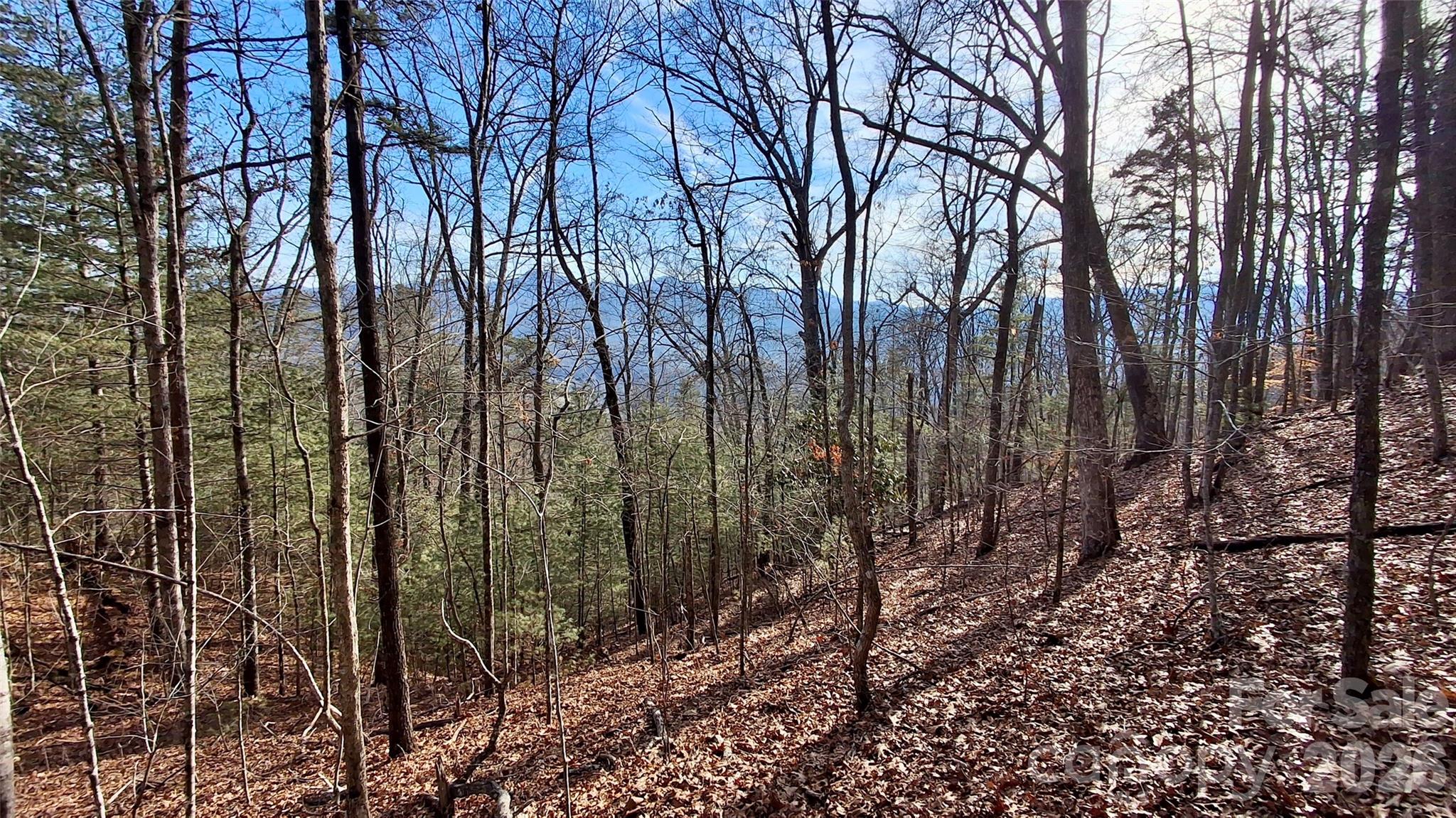 0 Briarwood Road Webster NC 28788