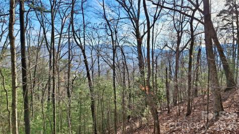 0 Briarwood Road Webster NC 28788