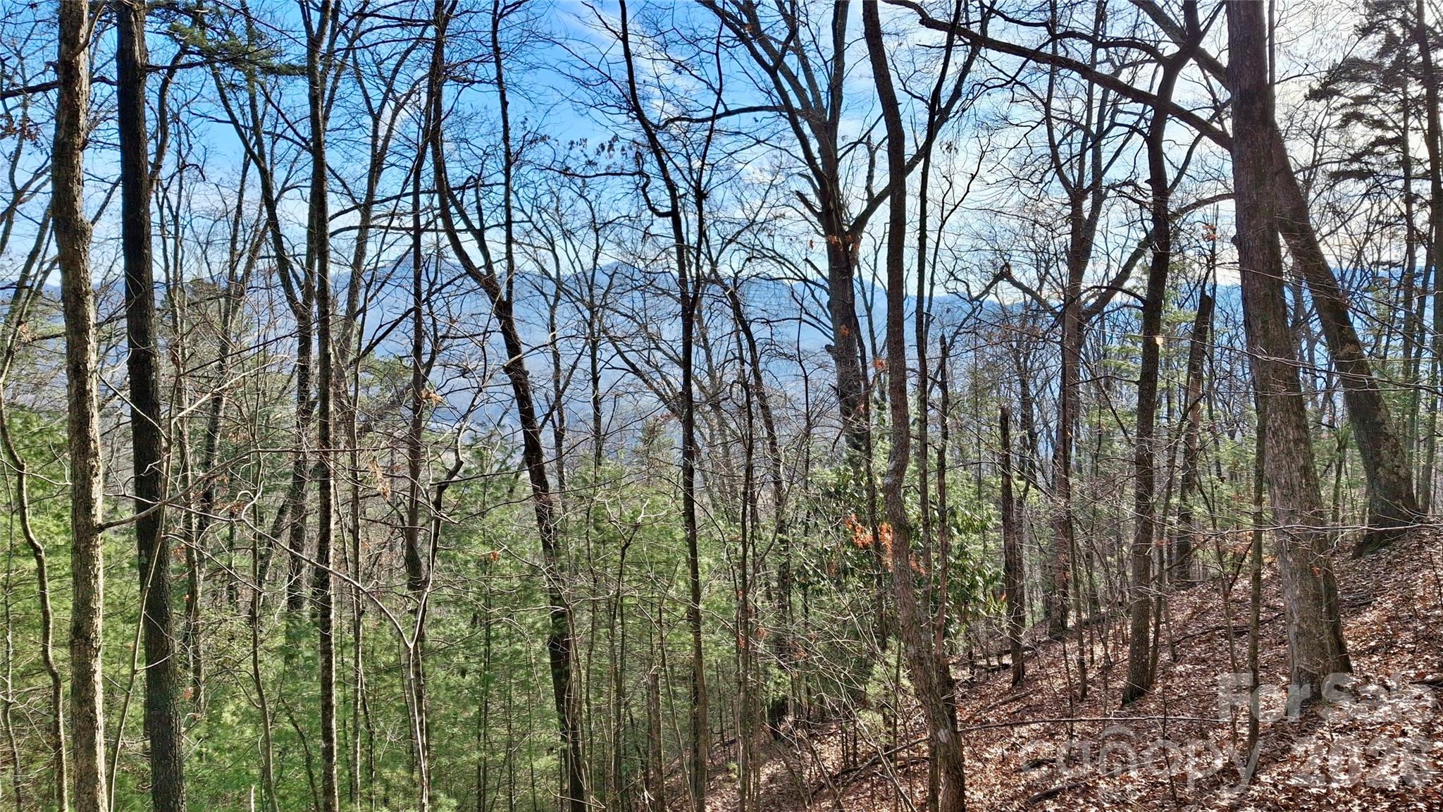 0 Briarwood Road Webster NC 28788