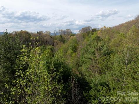Lot 38 Sunnybrook Trail Clyde NC 28721