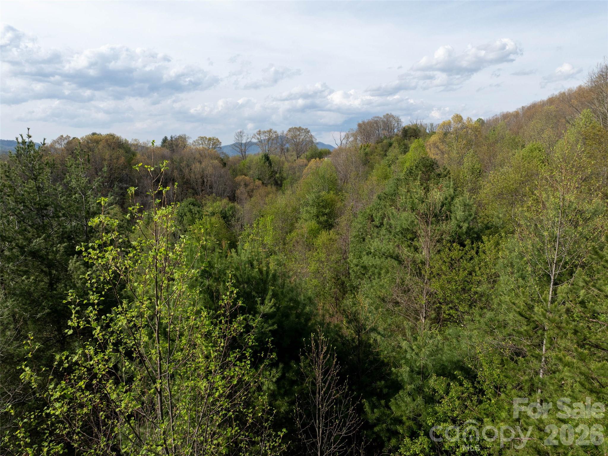 Lot 38 Sunnybrook Trail Clyde NC 28721