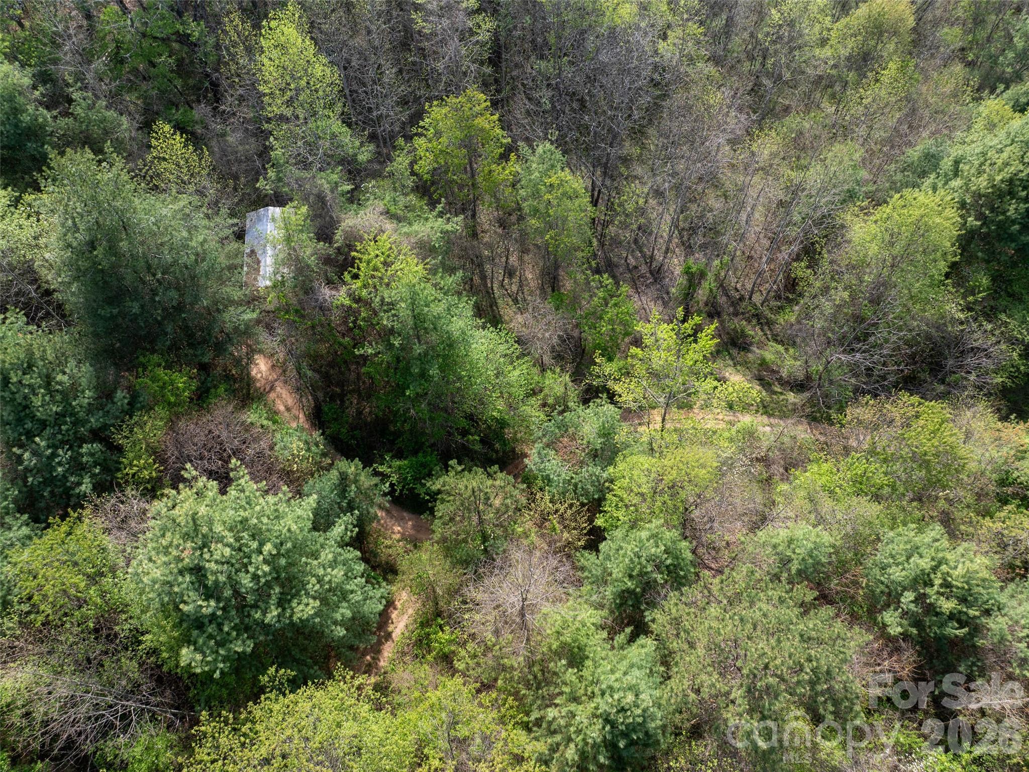 Lot 38 Sunnybrook Trail Clyde NC 28721