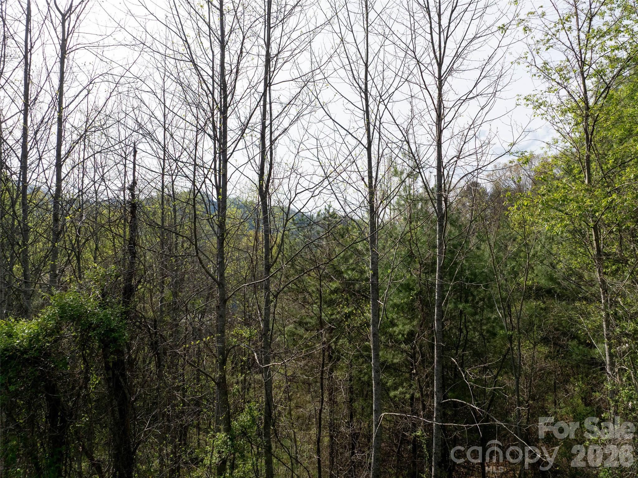 Lot 38 Sunnybrook Trail Clyde NC 28721