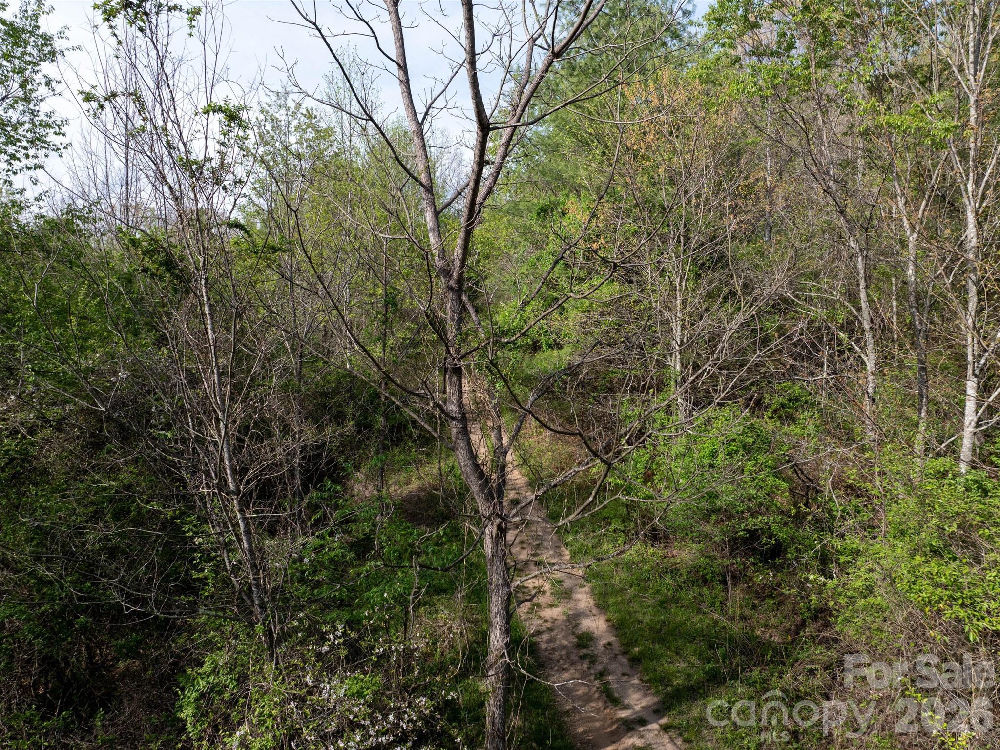 Lot 38 Sunnybrook Trail Clyde NC 28721