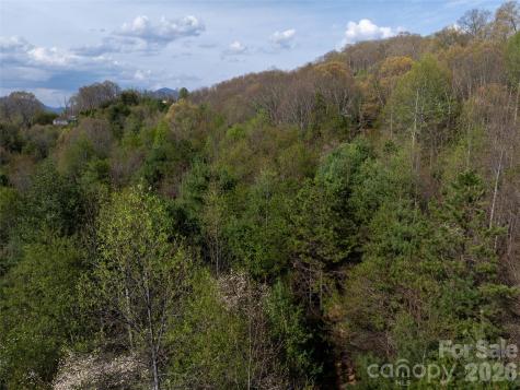 Lot 38 Sunnybrook Trail Clyde NC 28721