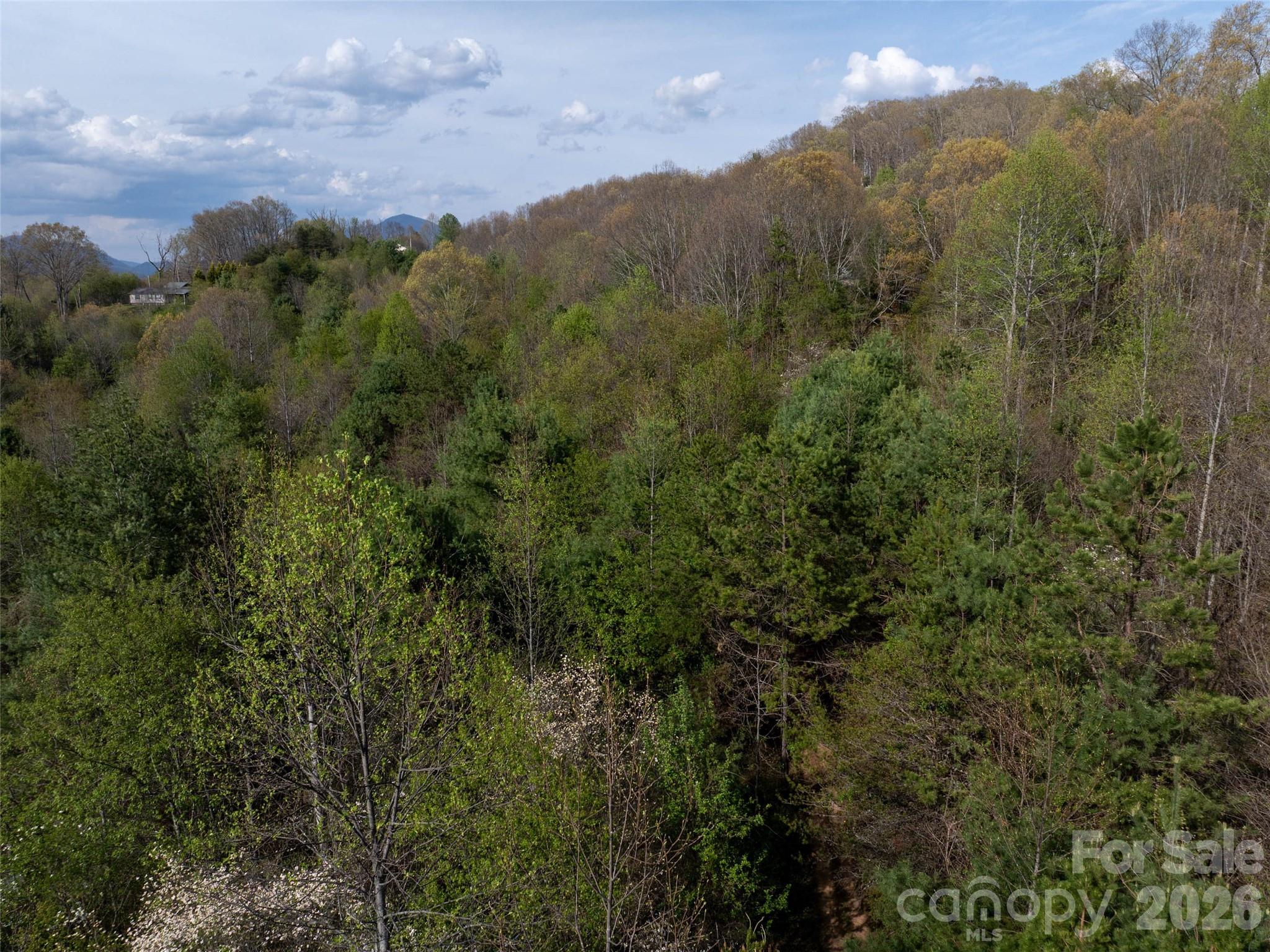 Lot 38 Sunnybrook Trail Clyde NC 28721