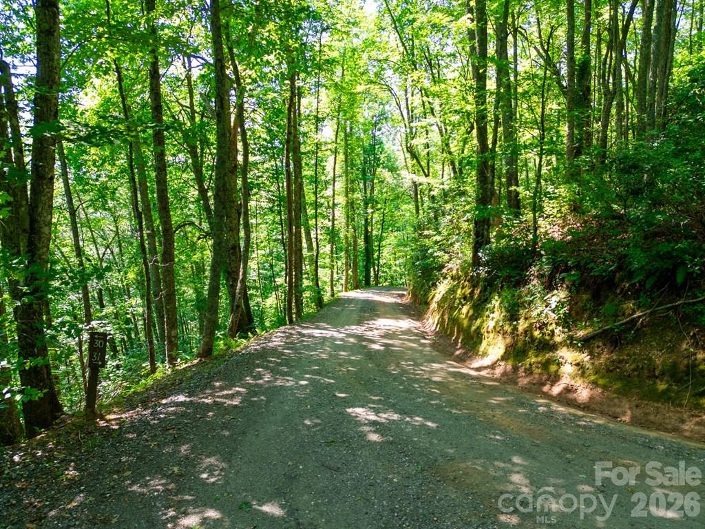Lot 26 Red Hawk Bluff Sylva NC 28779
