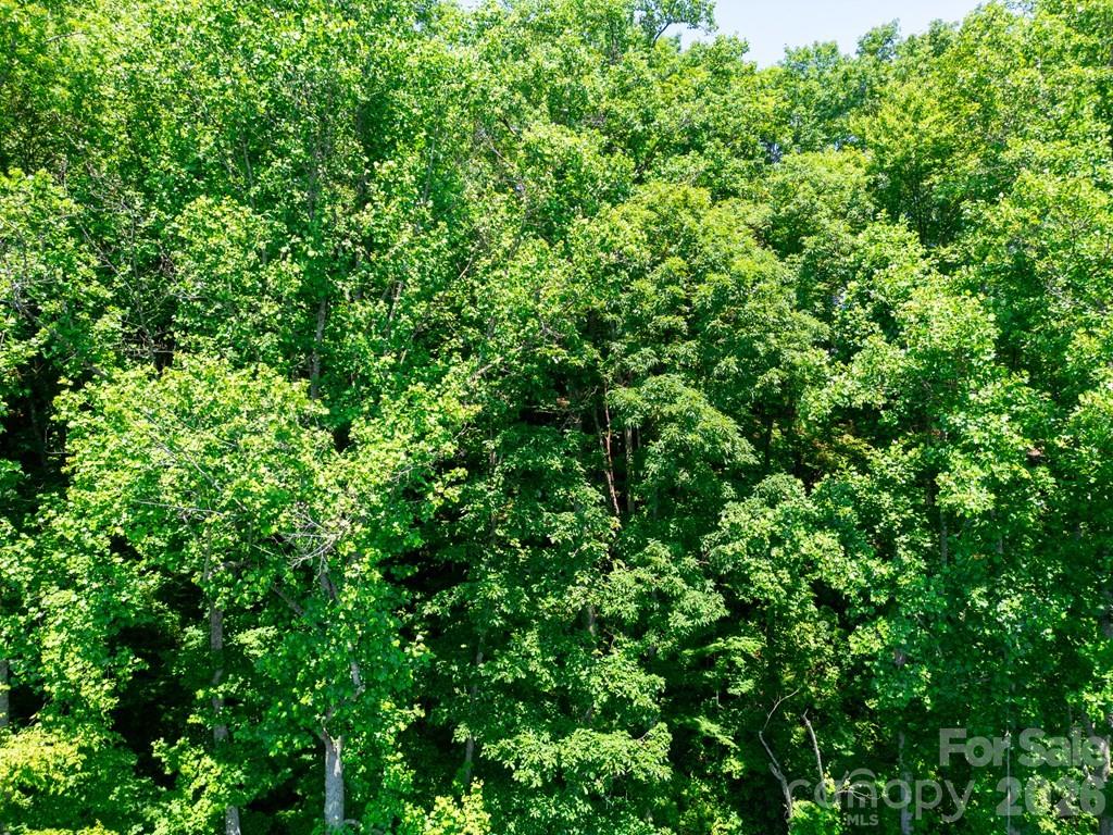 Lot 26 Red Hawk Bluff Sylva NC 28779