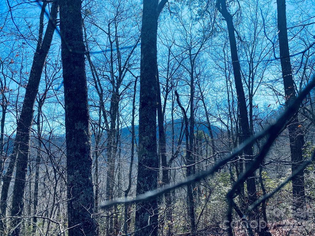 Lot 26 Red Hawk Bluff Sylva NC 28779
