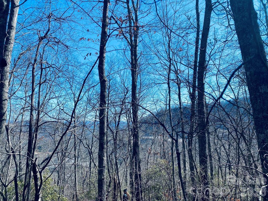 Lot 26 Red Hawk Bluff Sylva NC 28779