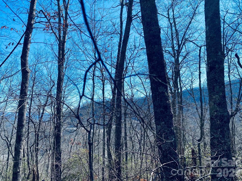 Lot 26 Red Hawk Bluff Sylva NC 28779